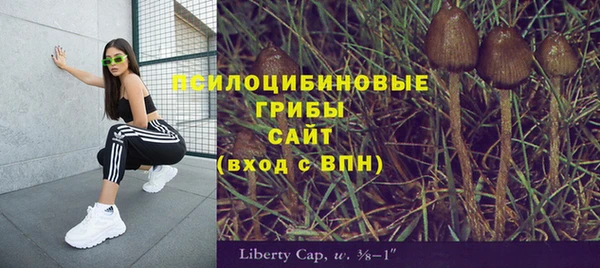прущая мука Яровое