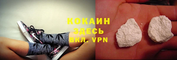 прущие грибы Саяногорск