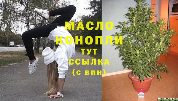 прущие грибы Саяногорск