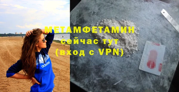 прущие грибы Саяногорск