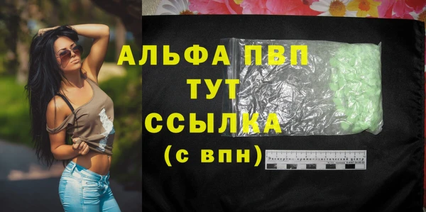 прущие грибы Саяногорск