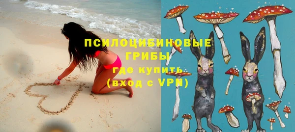 прущие грибы Саяногорск