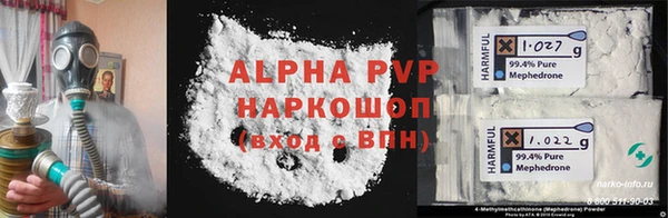прущие грибы Саяногорск