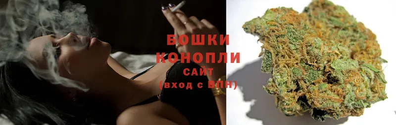 Бошки Шишки семена  это какой сайт  Бокситогорск  закладка 